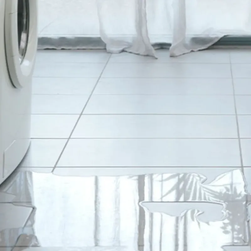 Appliance Leak Cleanup in King County, WA