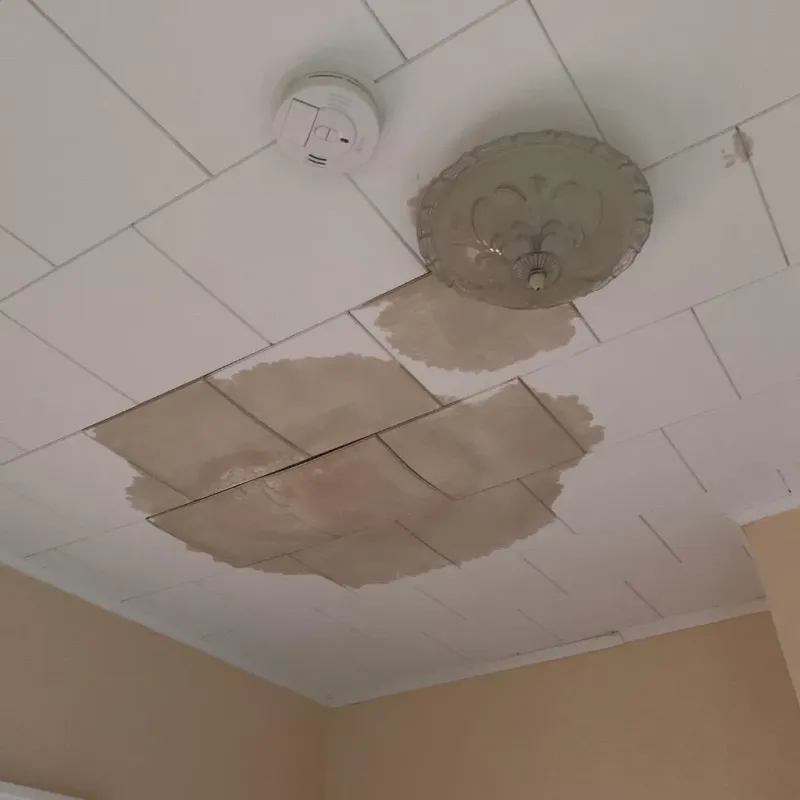 Ceiling Water Damage Repair in King County, WA