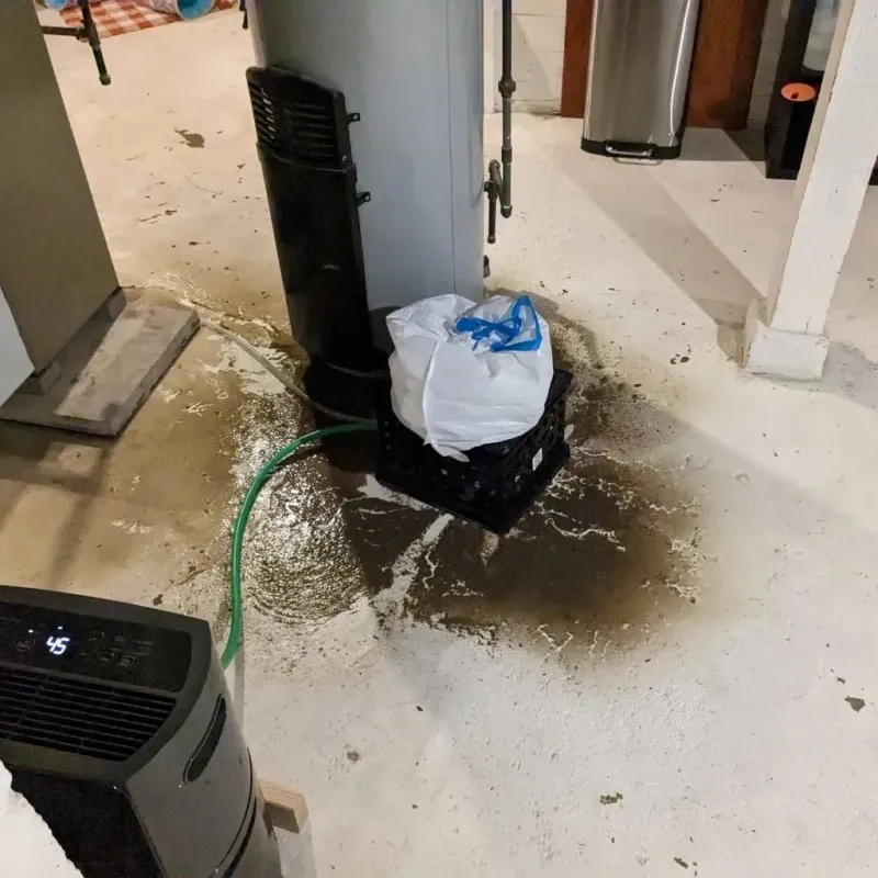 Sewage Backup Cleanup Service in King County, WA